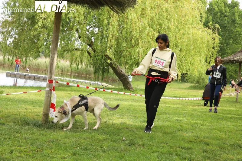 Foto 15 - Josema Gal&aacute;n y Alicia Ramos ganan el canicross de Alba de Tormes