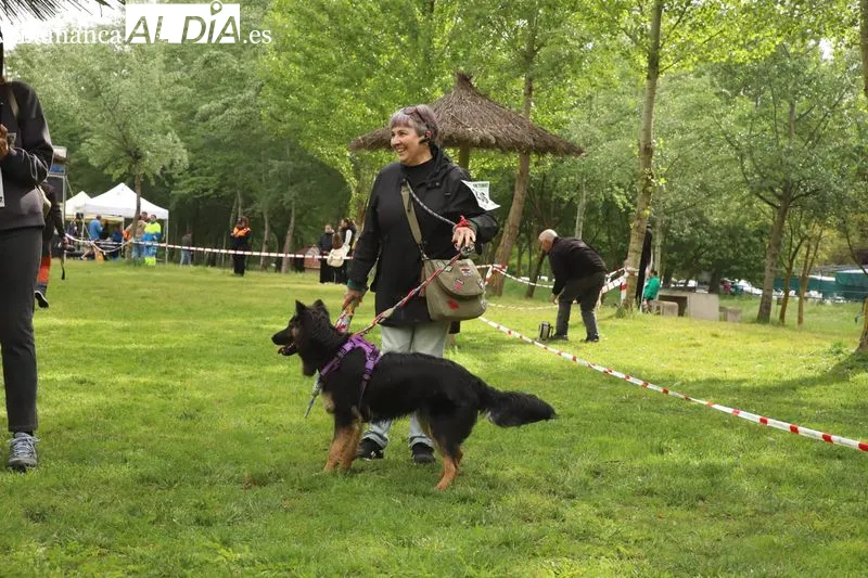 Foto 16 - Josema Gal&aacute;n y Alicia Ramos ganan el canicross de Alba de Tormes