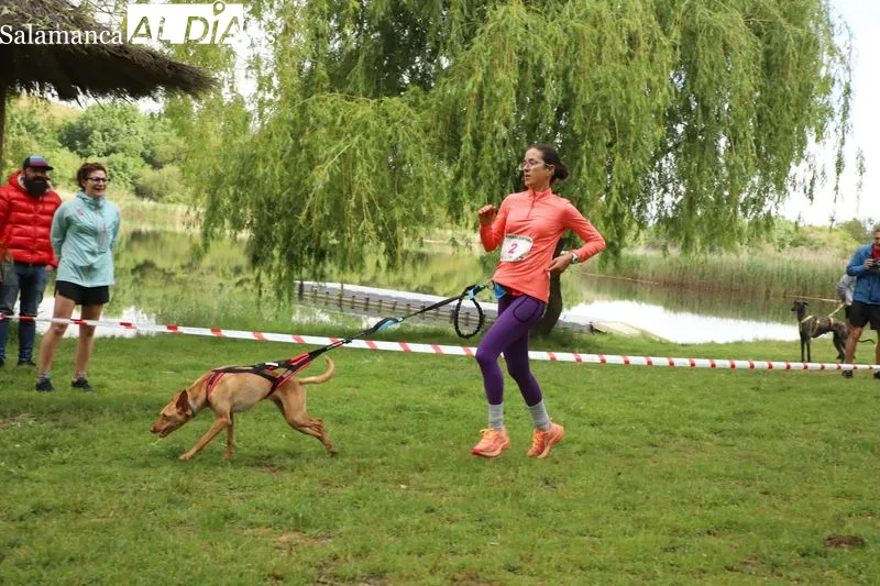 Foto 7 - Josema Gal&aacute;n y Alicia Ramos ganan el canicross de Alba de Tormes