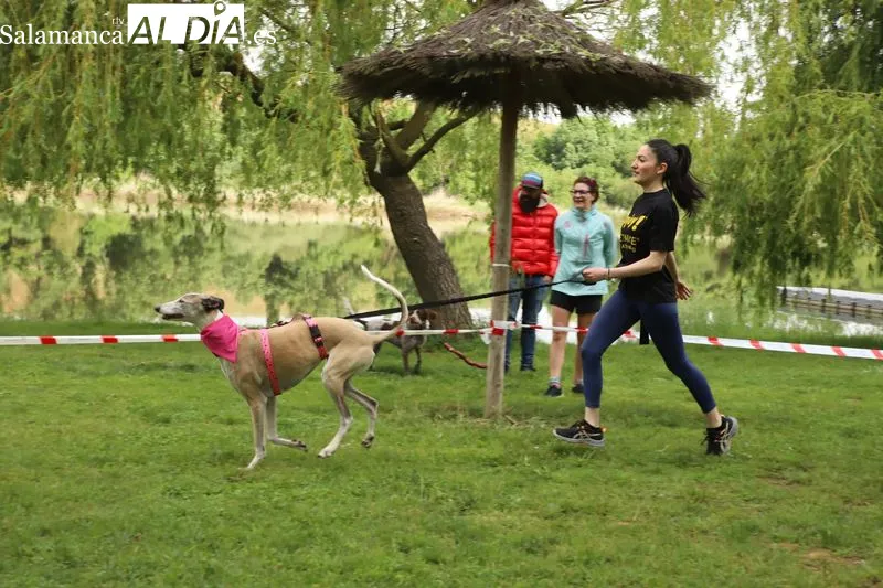 Foto 9 - Josema Gal&aacute;n y Alicia Ramos ganan el canicross de Alba de Tormes