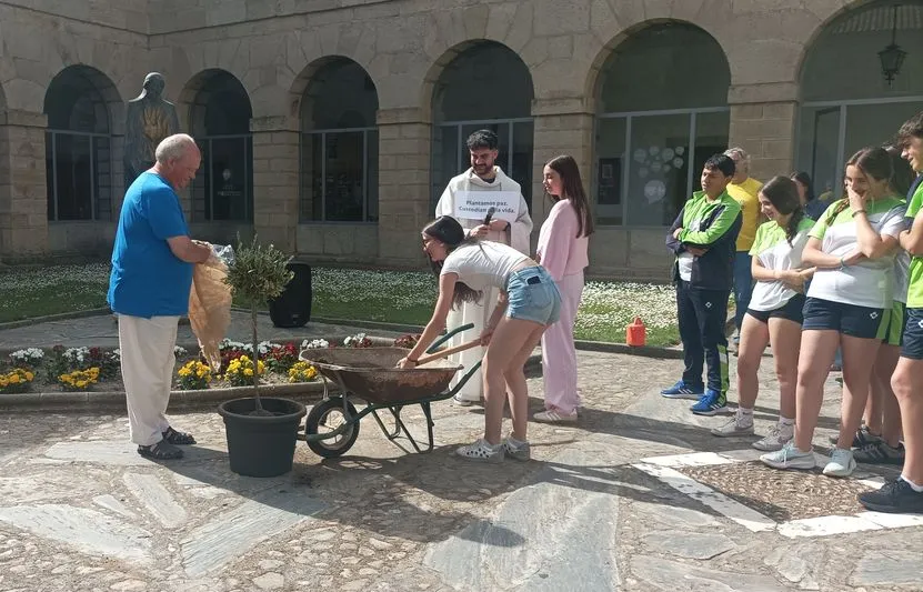 San Jerónimo acoge un olivo de Tierra Santa como símbolo de paz