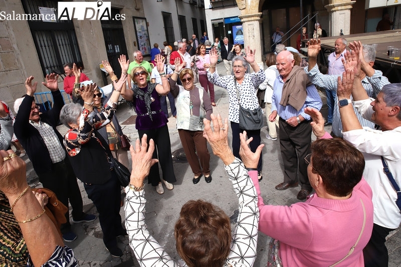 Cómo participar en el histórico Libro de Fiestas de Alba de Tormes de este año