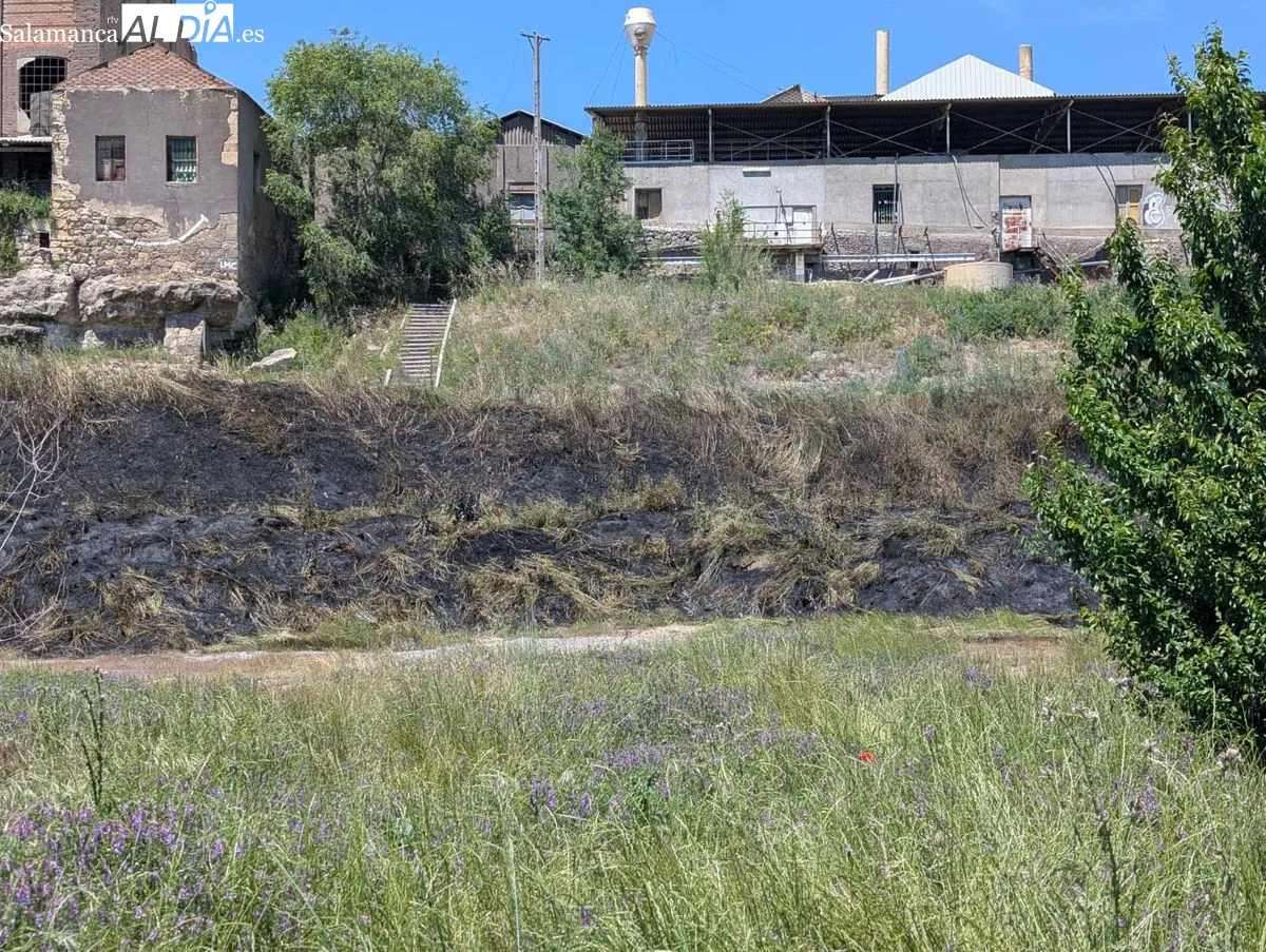 Efectos del incendio junto al parque fluvial, frente a la fábrica de Mirat. Foto de David Sañudo