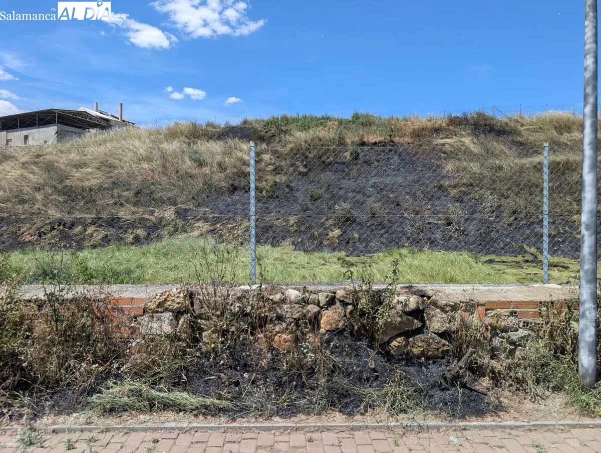 Efectos del incendio junto al parque fluvial, frente a la fábrica de Mirat. Foto de David Sañudo