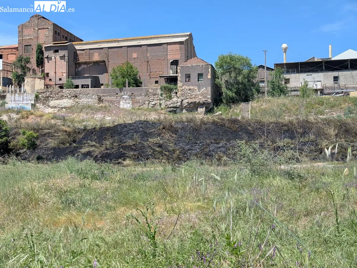 Efectos del incendio junto al parque fluvial, frente a la fábrica de Mirat. Foto de David Sañudo