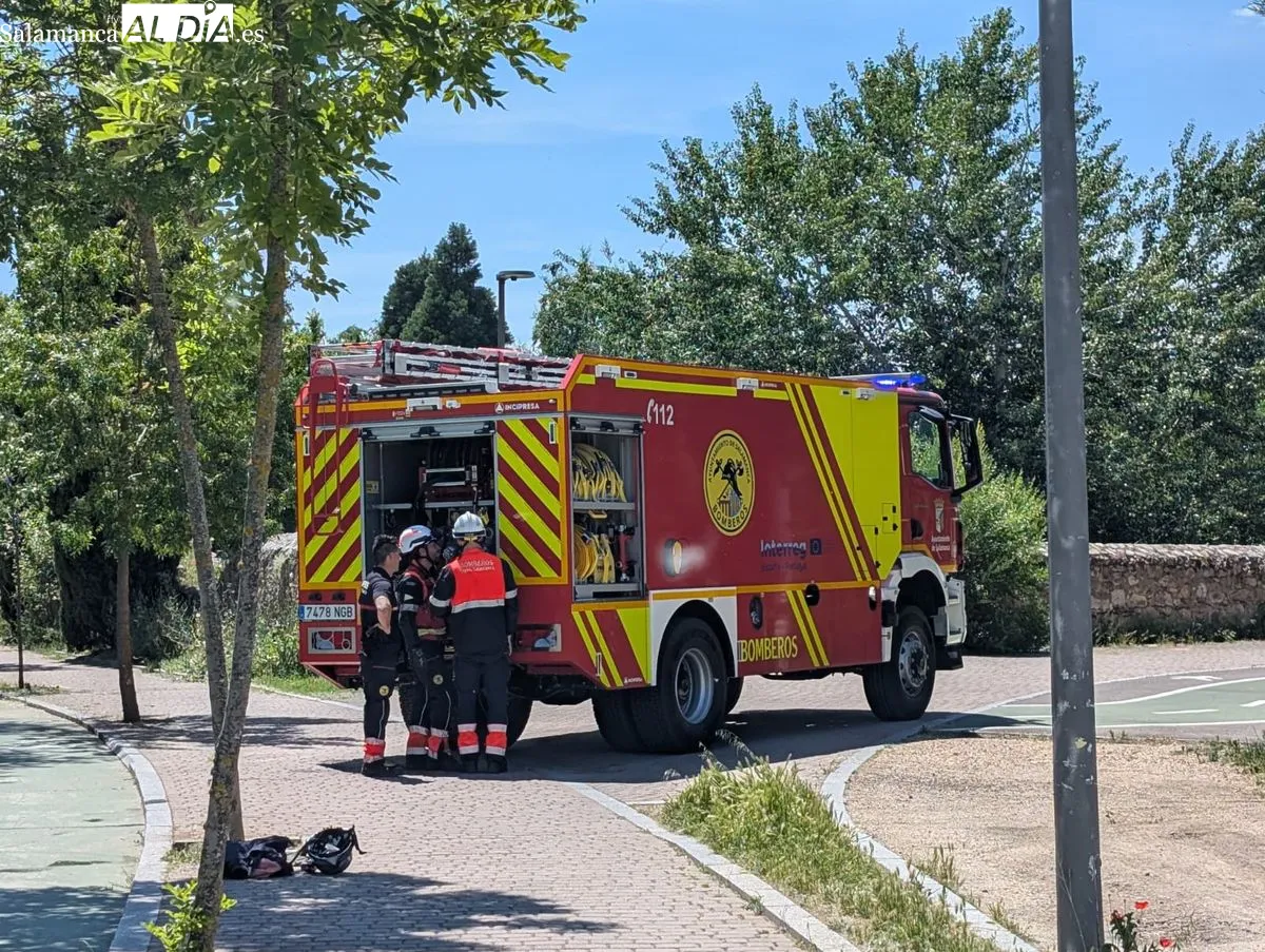 Efectos del incendio junto al parque fluvial, frente a la fábrica de Mirat. Foto de David Sañudo
