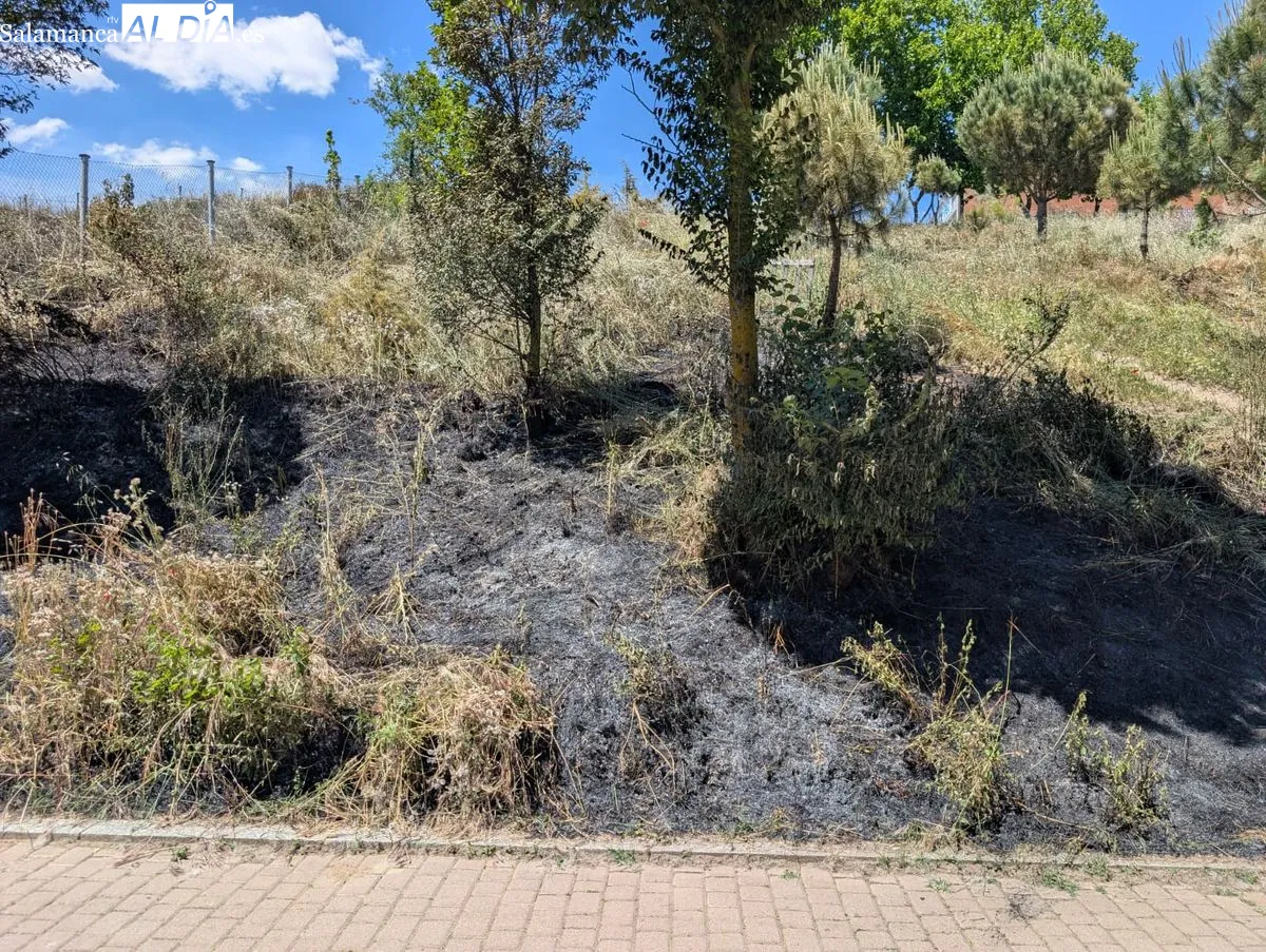 Efectos del incendio junto al parque fluvial, frente a la fábrica de Mirat. Foto de David Sañudo