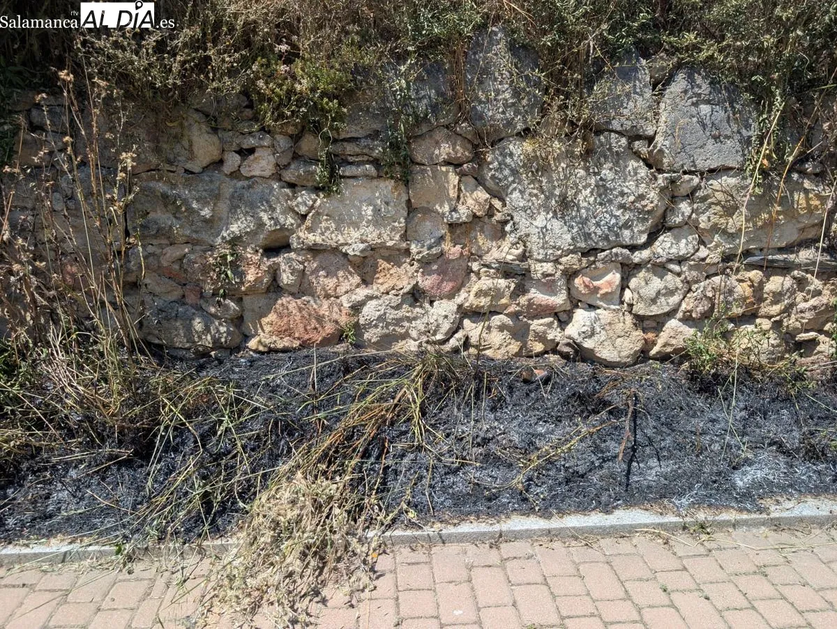 Efectos del incendio junto al parque fluvial, frente a la fábrica de Mirat. Foto de David Sañudo