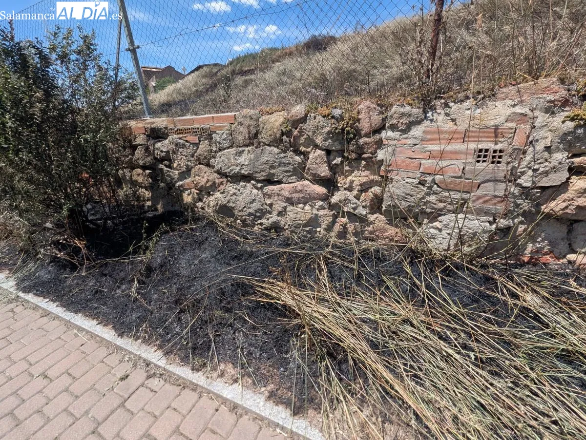 Efectos del incendio junto al parque fluvial, frente a la fábrica de Mirat. Foto de David Sañudo