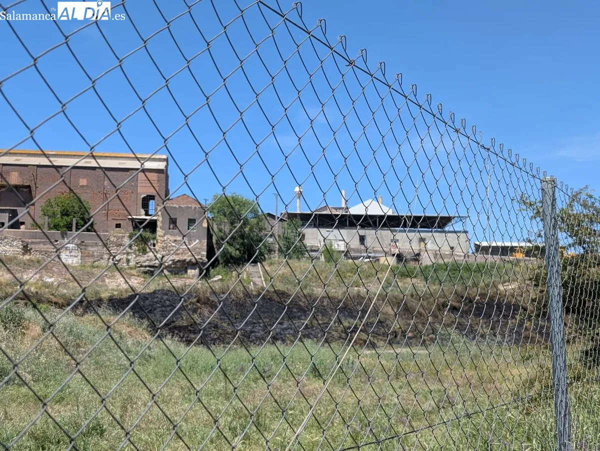 Efectos del incendio junto al parque fluvial, frente a la fábrica de Mirat. Foto de David Sañudo