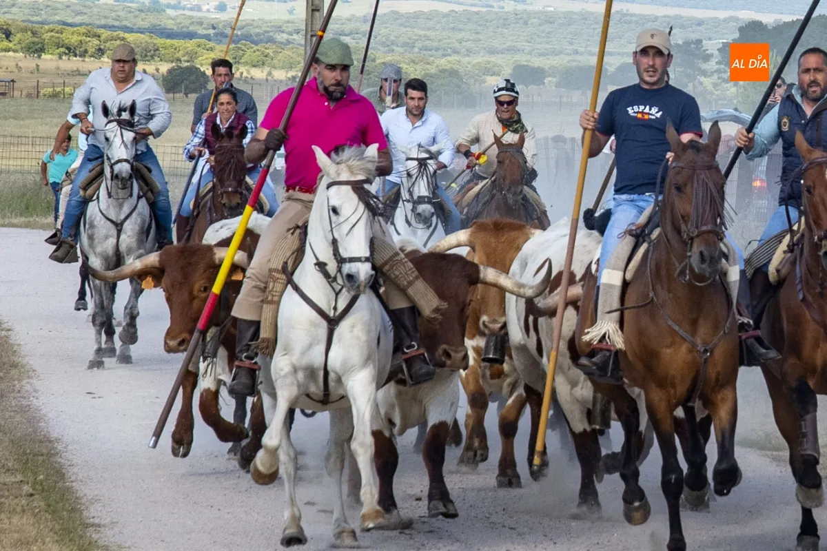Encierro Caballo Carpio