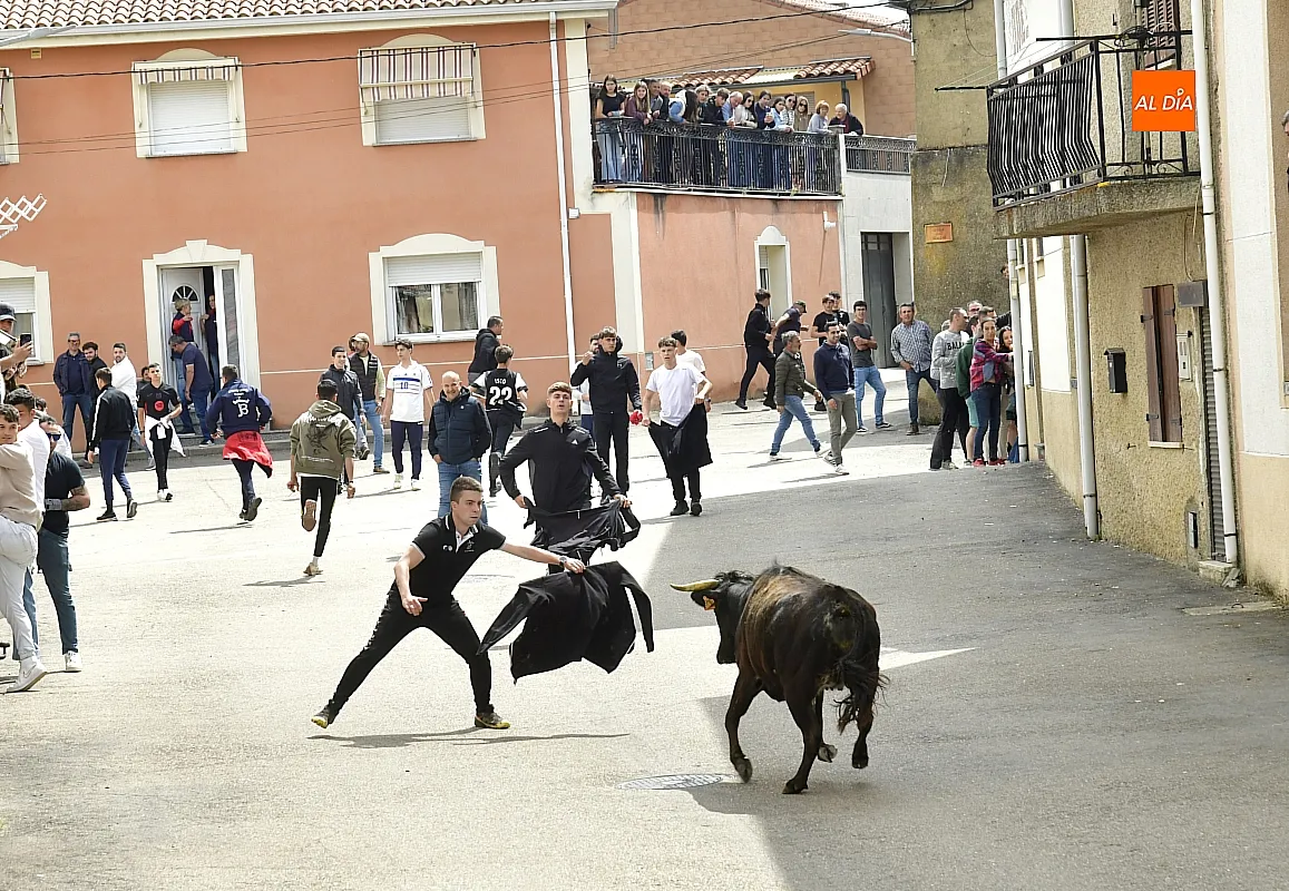 Encierro urbano en El Bodón