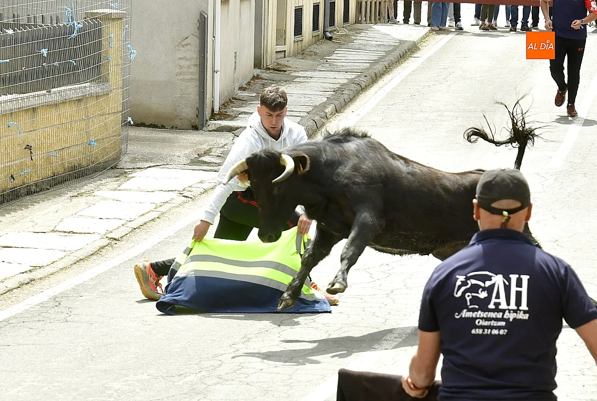 Encierro urbano en El Bodón