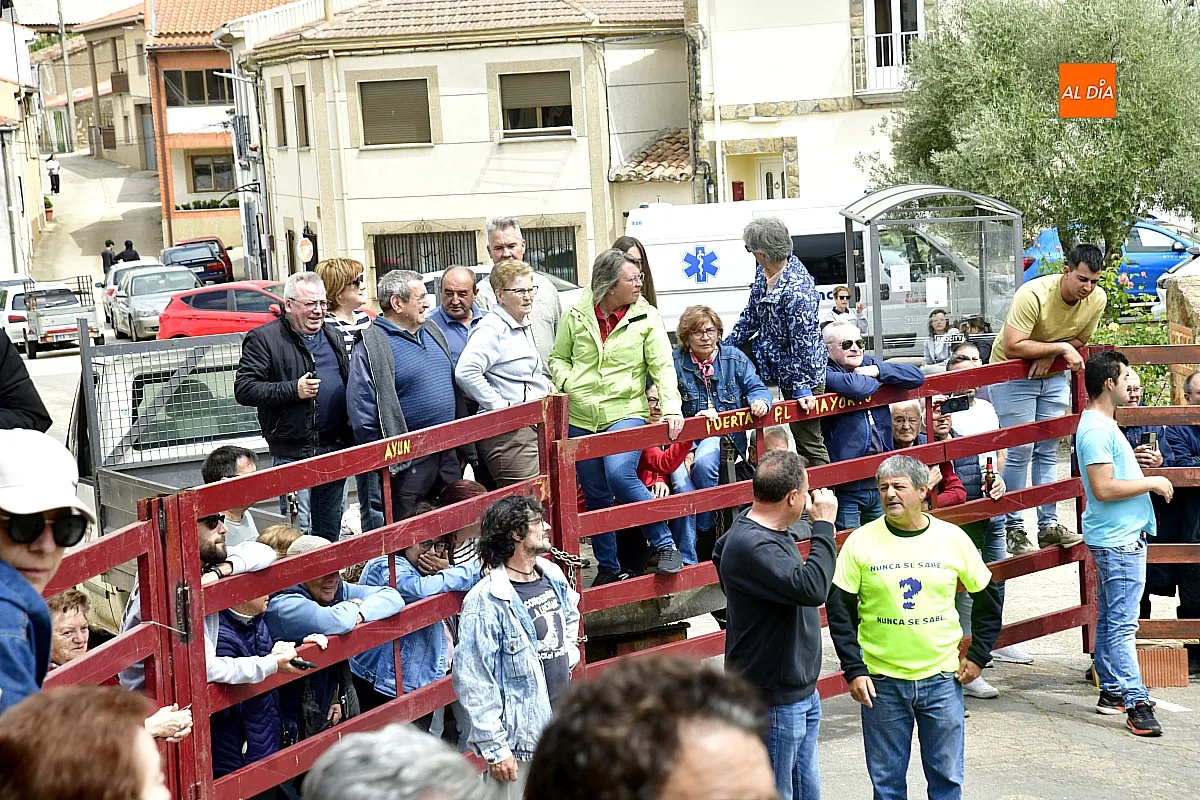 Encierro urbano en El Bodón