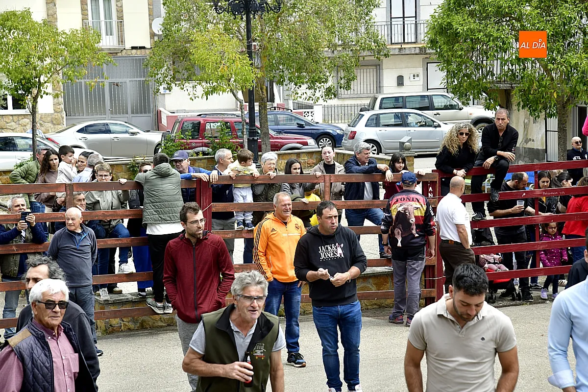 Encierro urbano en El Bodón