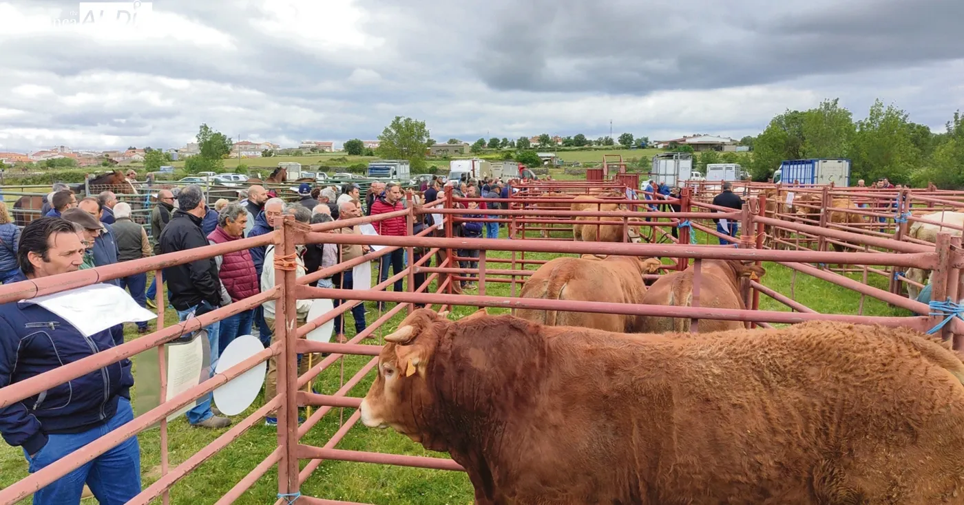 Feria de San Isidro y Multisectorial en Lumbrales