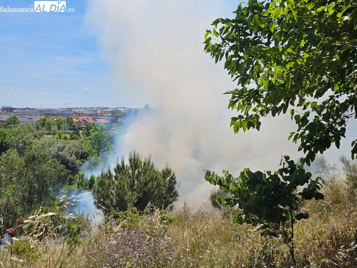 Fuego junto a la calle Río Carrión, cerca de la gasolinera de Mirat