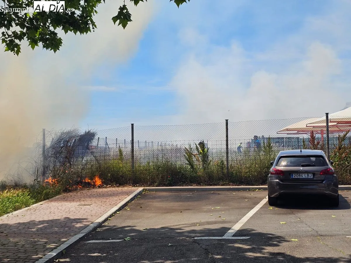 Fuego junto a la calle Río Carrión, cerca de la gasolinera de Mirat