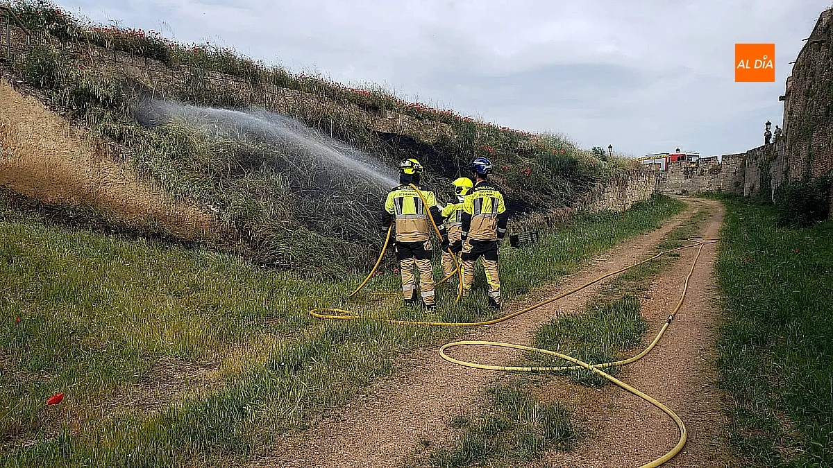 Dos dotaciones de bomberos sofocan un incendio en el foso de la Puerta de Amayuelas