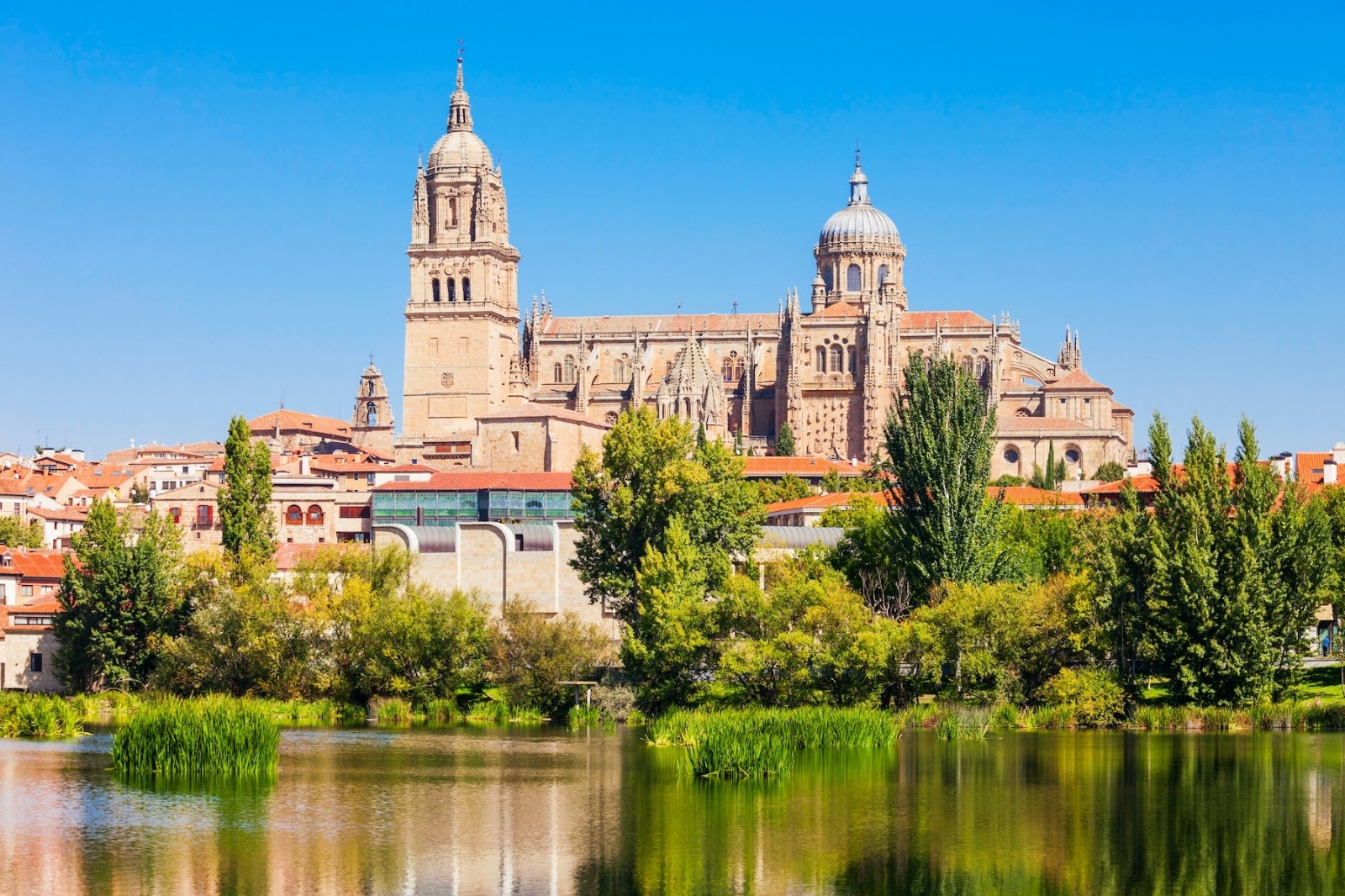 Salamanca, entre las provincias con más fibra óptica de Castilla y León