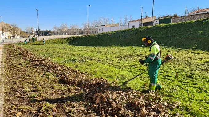 Limpieza de solares en Salamanca para prevenir incendios