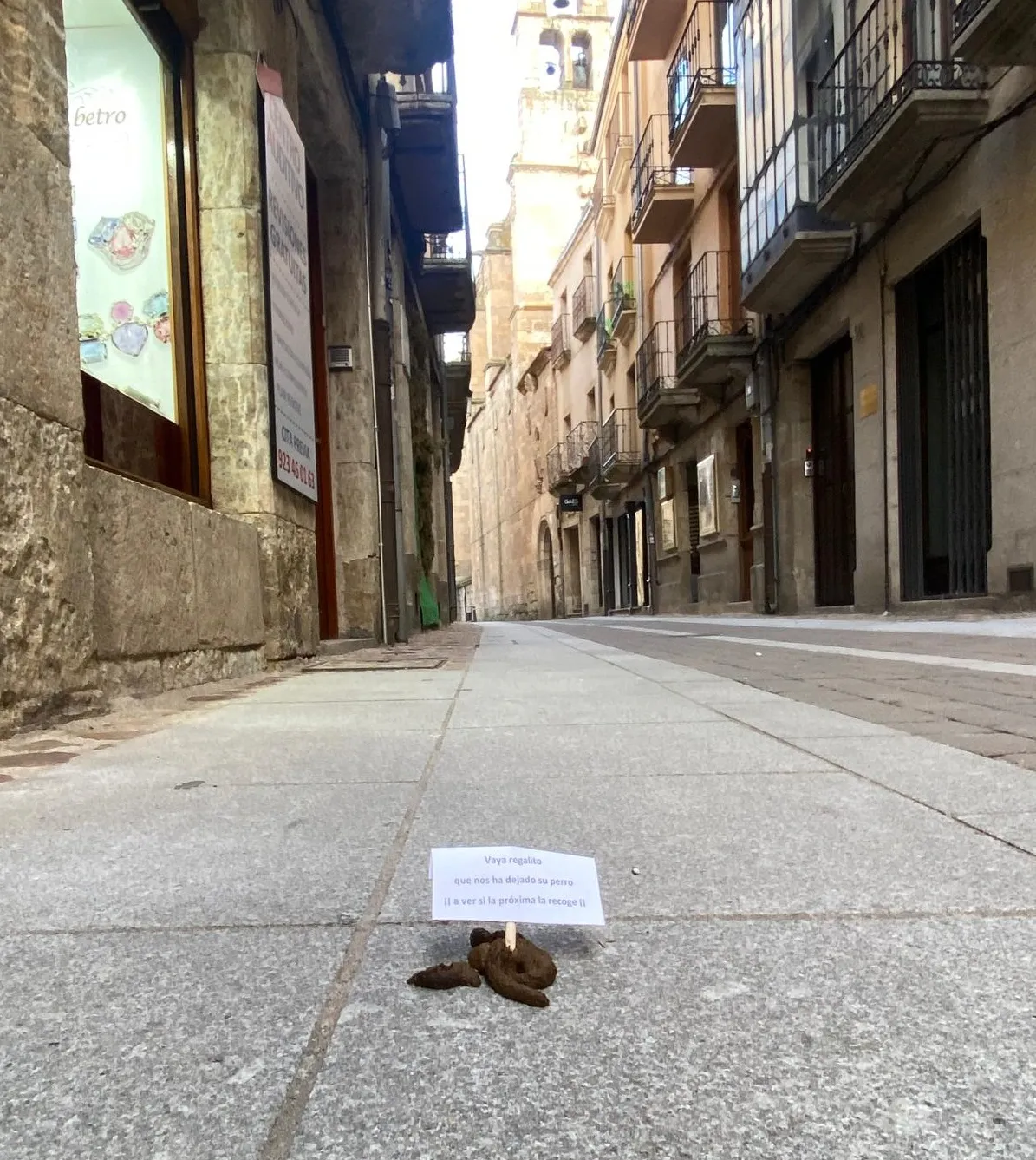 Vecinos y comerciantes de la calle San Juan apelan a  responsabilidad de los dueños de perros