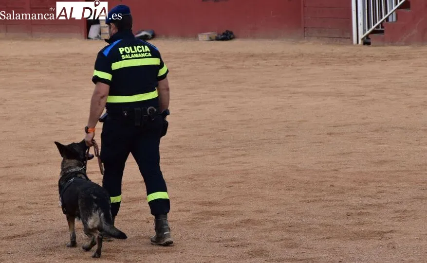 Prisión por llevar cocaína en un autobús en Salamanca