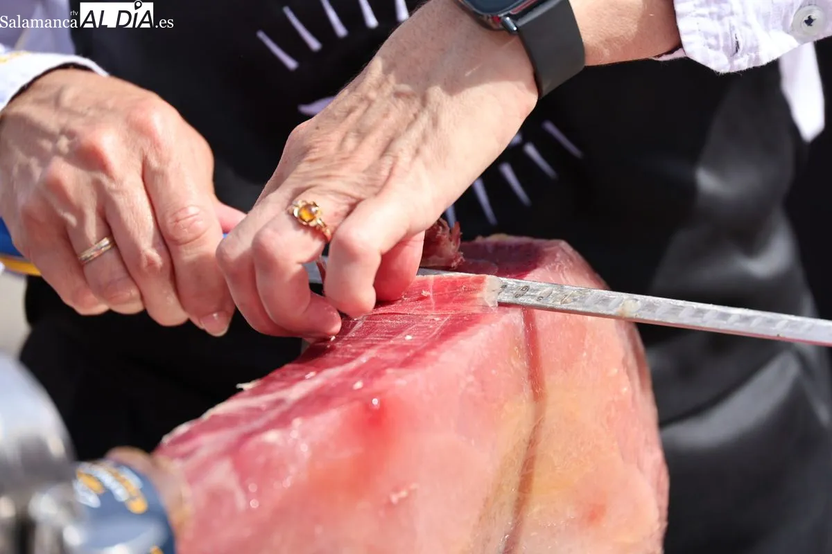 Cerca de cien cortadores de jamón ibérico se dan cita en la Plaza Mayor de Salamanca | FOTOS: David Sañudo 