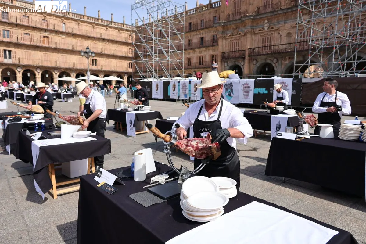 Cerca de cien cortadores de jamón ibérico se dan cita en la Plaza Mayor de Salamanca | FOTOS: David Sañudo 