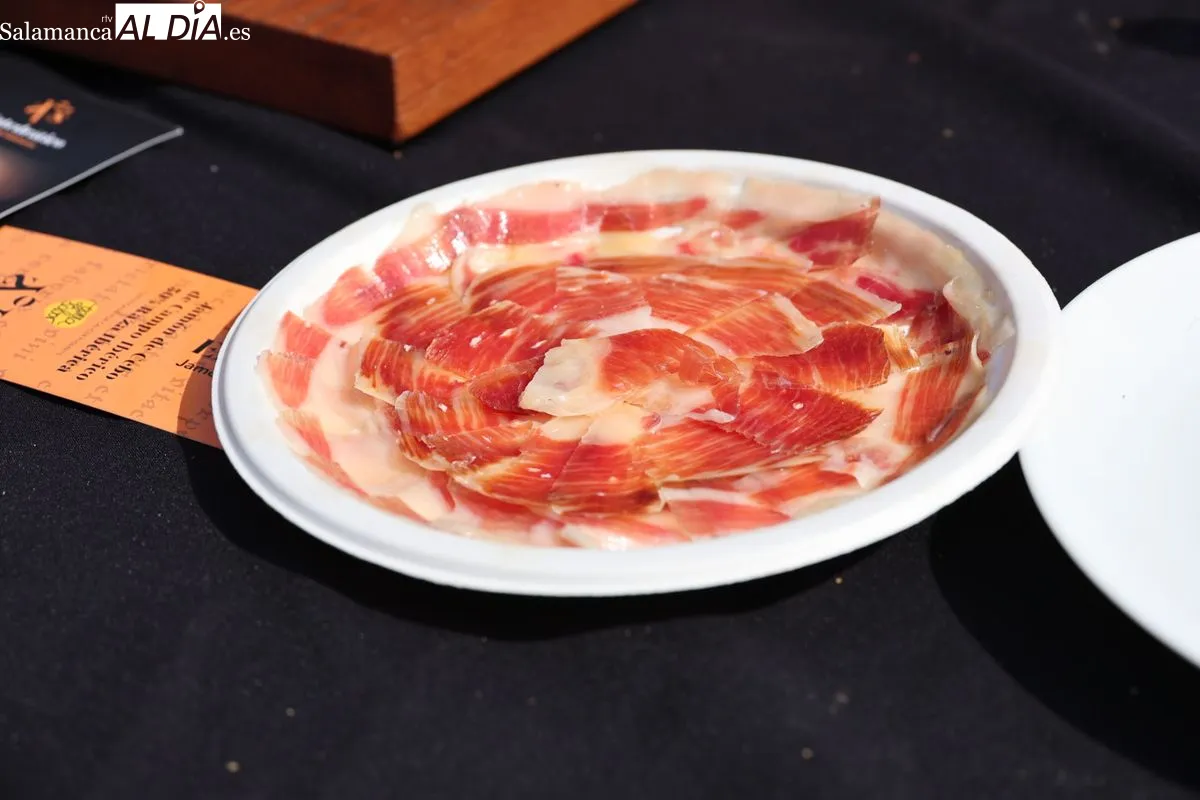 Cerca de cien cortadores de jamón ibérico se dan cita en la Plaza Mayor de Salamanca | FOTOS: David Sañudo 