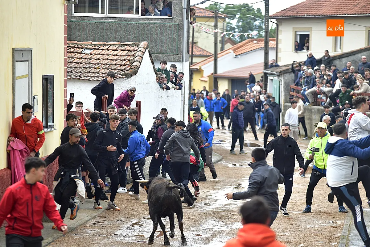 Jornada taurina en Bocacara