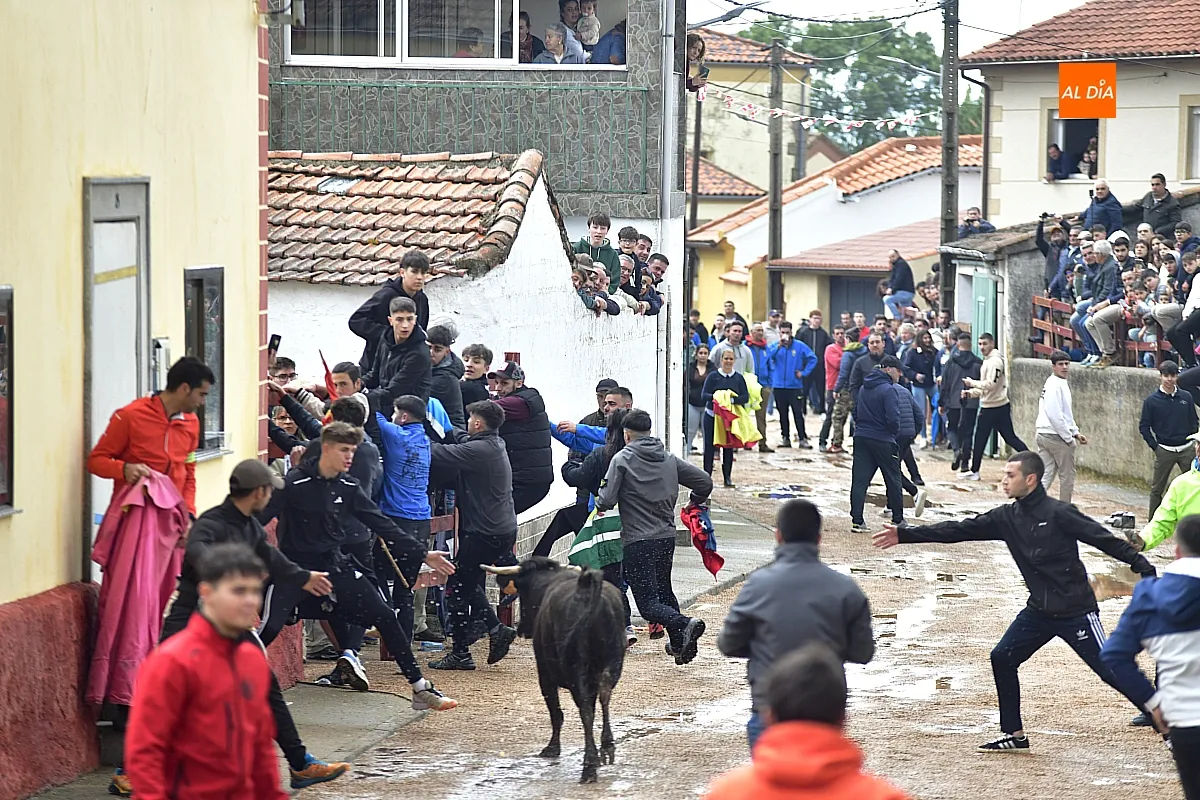 Jornada taurina en Bocacara