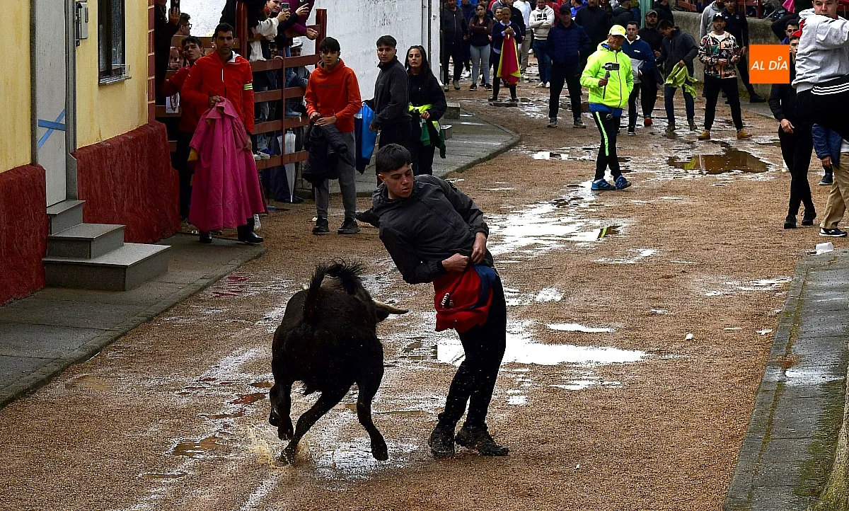 Jornada taurina en Bocacara