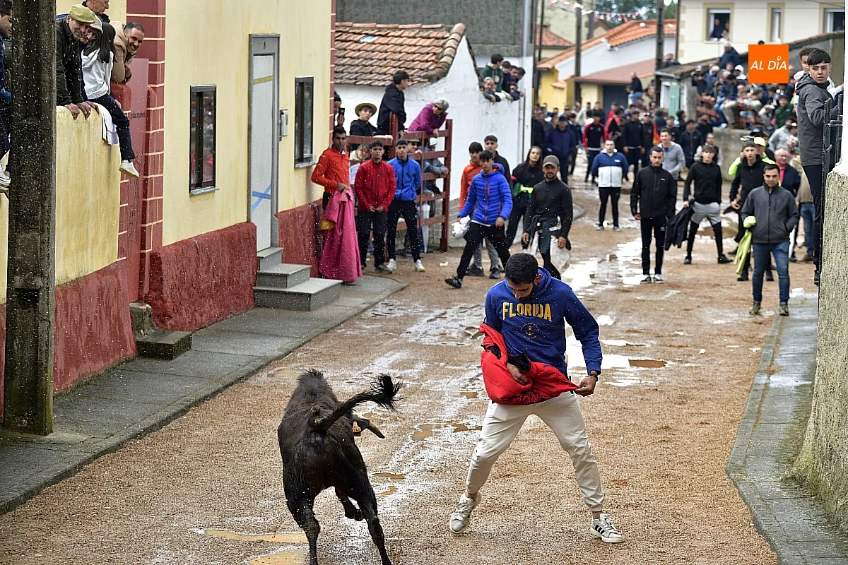 Jornada taurina en Bocacara