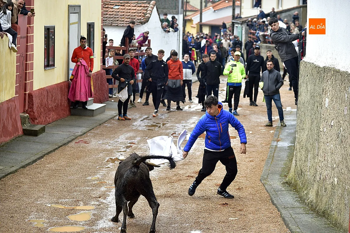 Jornada taurina en Bocacara