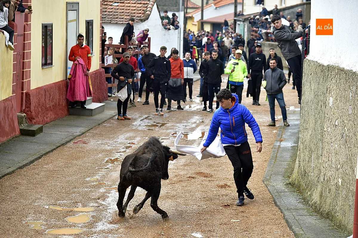 Jornada taurina en Bocacara