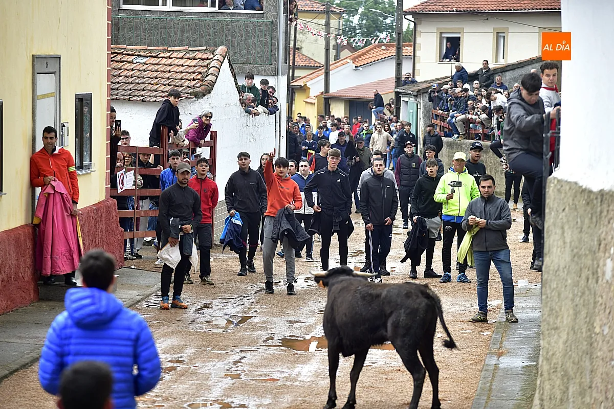 Jornada taurina en Bocacara