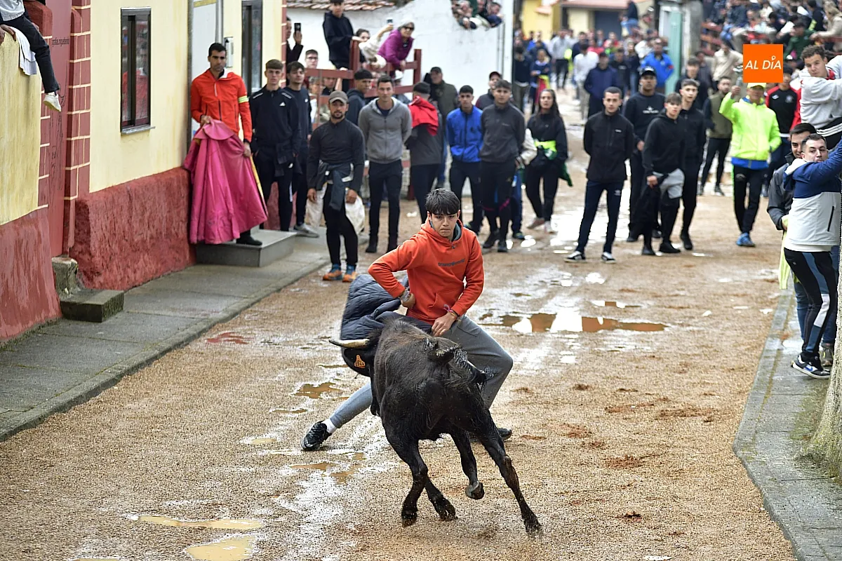 Jornada taurina en Bocacara