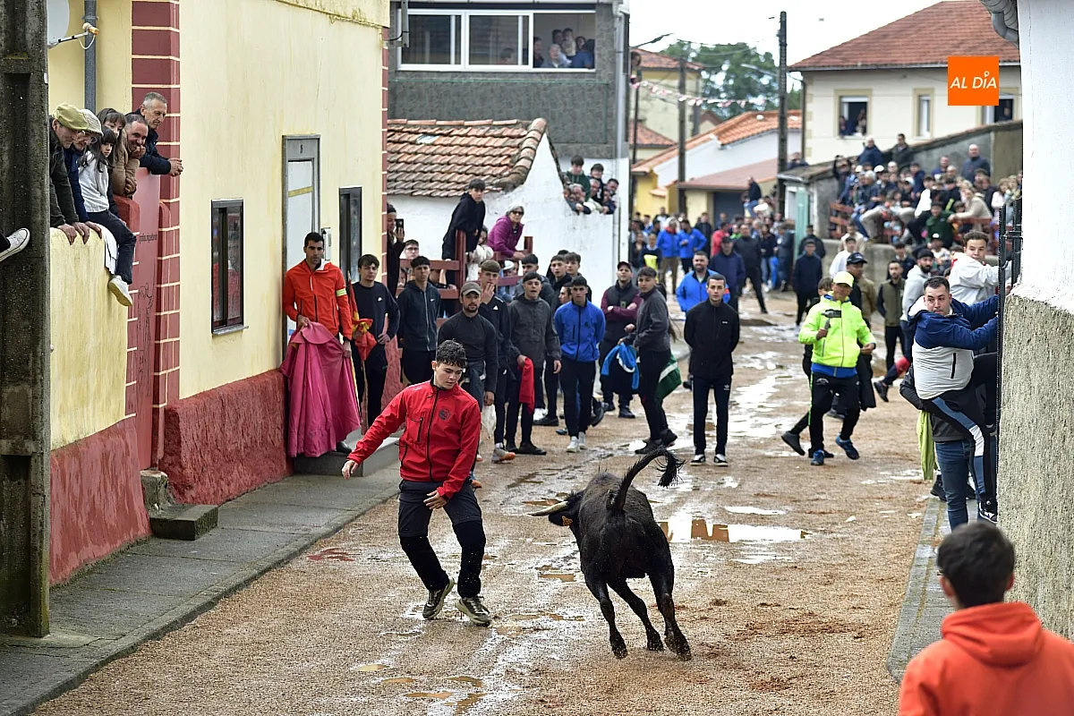 La lluvia intermitente desluce la tarde taurina del Toro de San Miguel en Bocacara