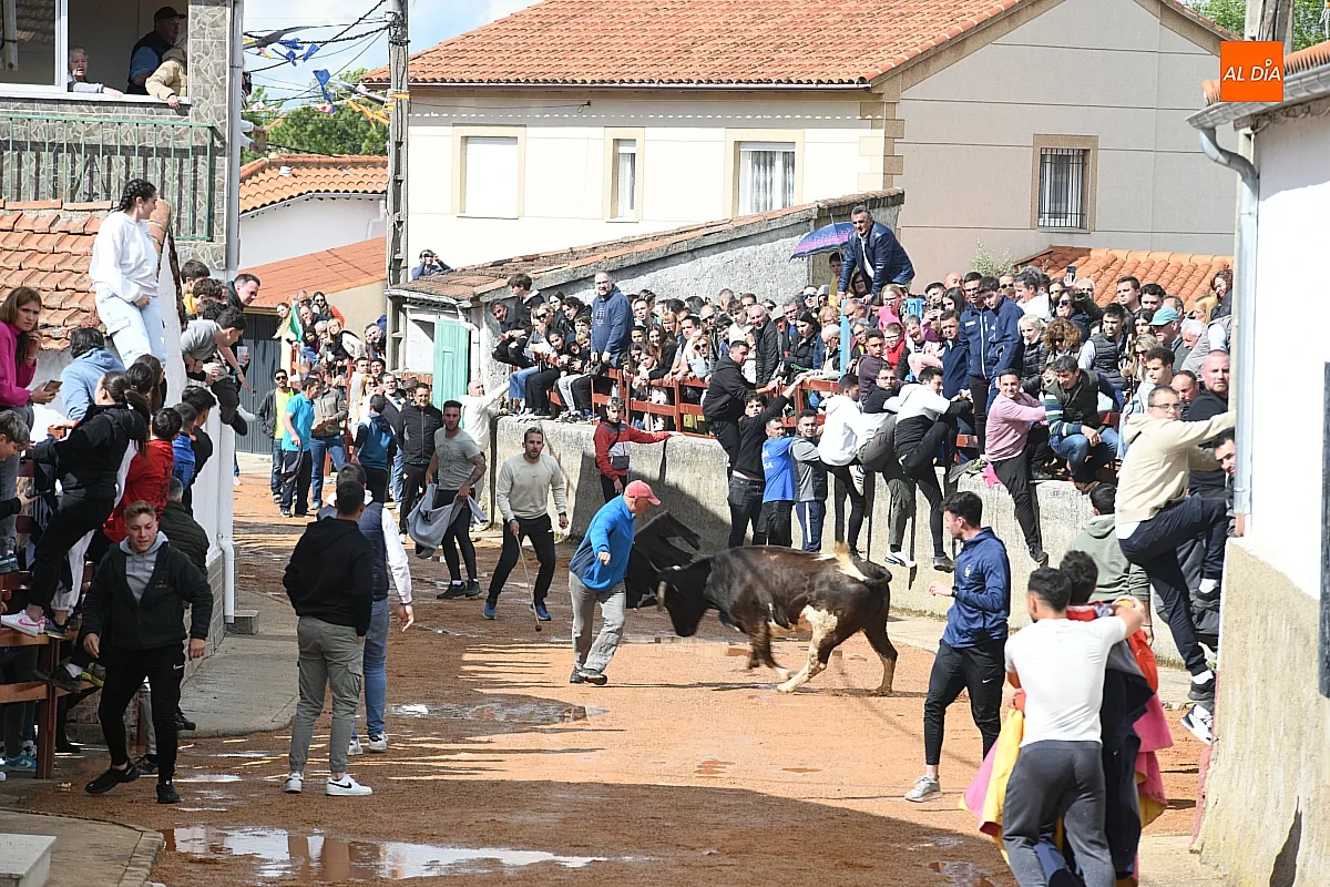 Fiestas de San Miguel en Bocacara: programa completo