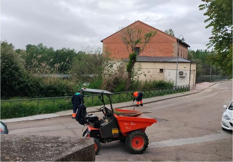 Limpieza en los bordes de los acerados en la calle Alcázar