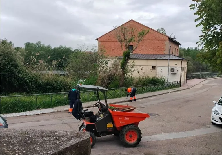 Limpieza en los bordes de los acerados en la calle Alcázar