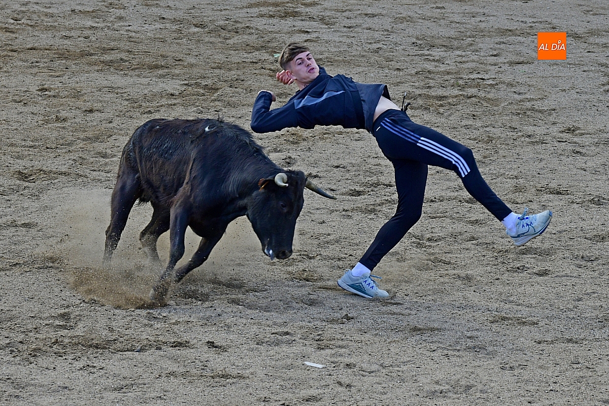 La juventud disfruta de una extraordinaria capea de vaquillas en El Bodón