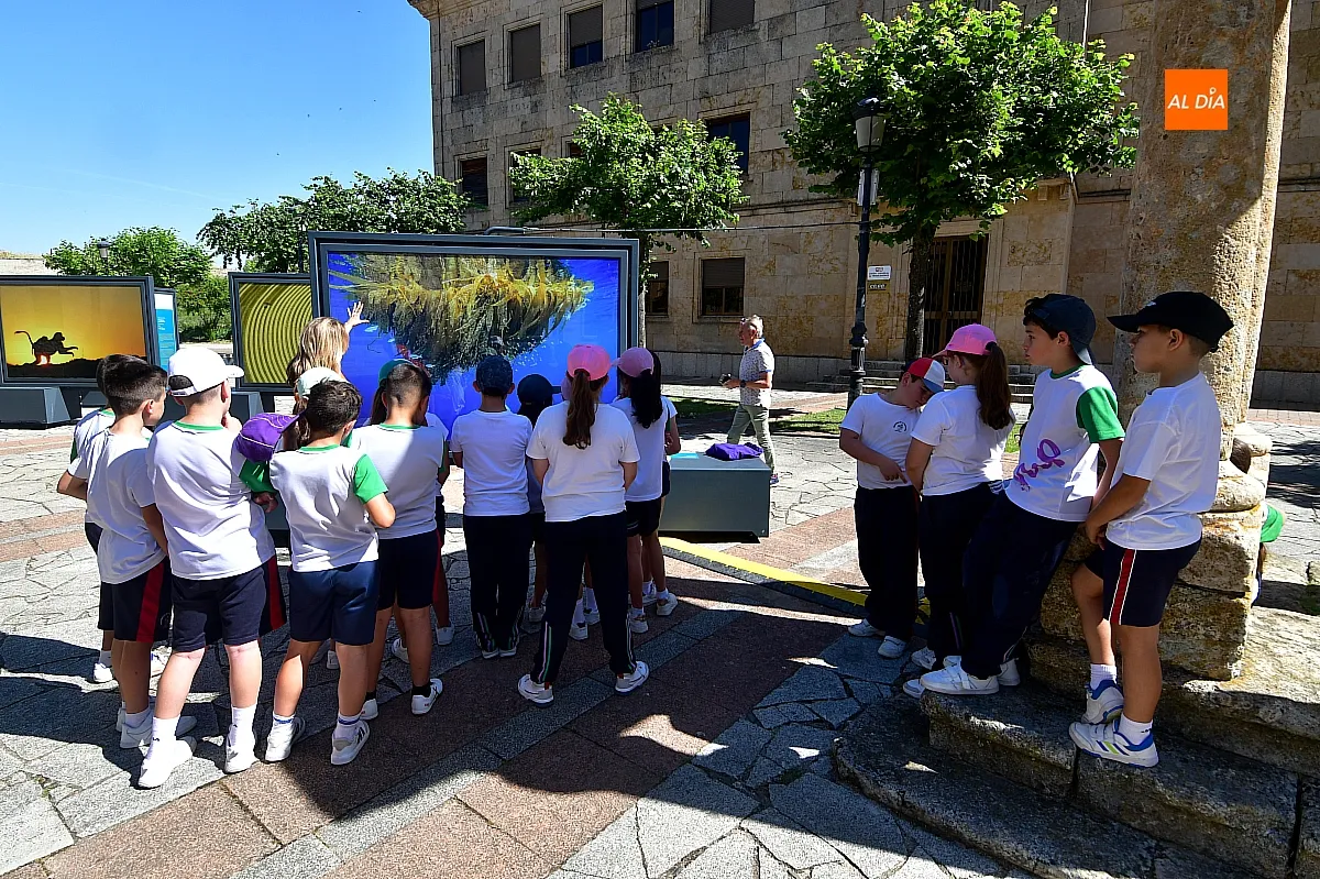 Foto 2 - Los alumnos del Colegio Misioneras de la Providencia convierten la exposici&oacute;n fotogr&aacute;fica de &ldquo;la Caixa&rdquo; en su aula al aire libre