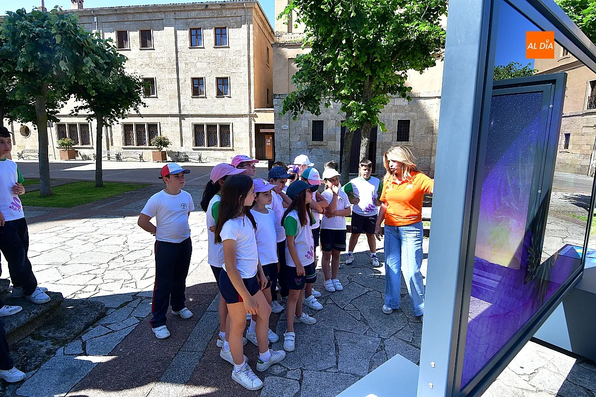 Foto 4 - Los alumnos del Colegio Misioneras de la Providencia convierten la exposici&oacute;n fotogr&aacute;fica de &ldquo;la Caixa&rdquo; en su aula al aire libre