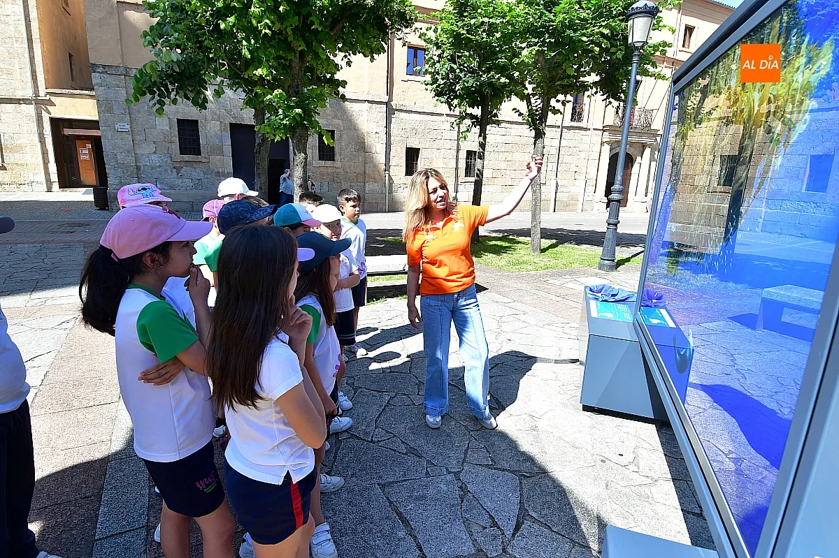Foto 5 - Los alumnos del Colegio Misioneras de la Providencia convierten la exposici&oacute;n fotogr&aacute;fica de &ldquo;la Caixa&rdquo; en su aula al aire libre