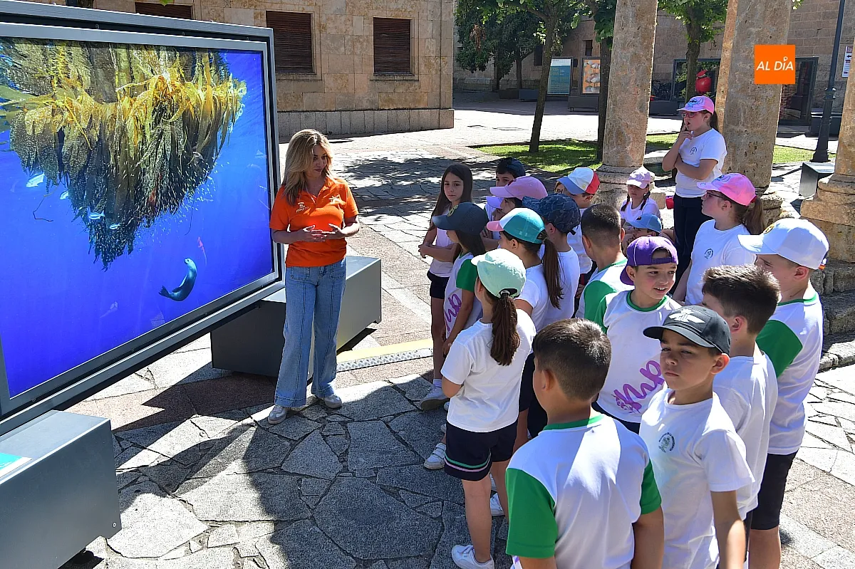 Foto 7 - Los alumnos del Colegio Misioneras de la Providencia convierten la exposici&oacute;n fotogr&aacute;fica de &ldquo;la Caixa&rdquo; en su aula al aire libre