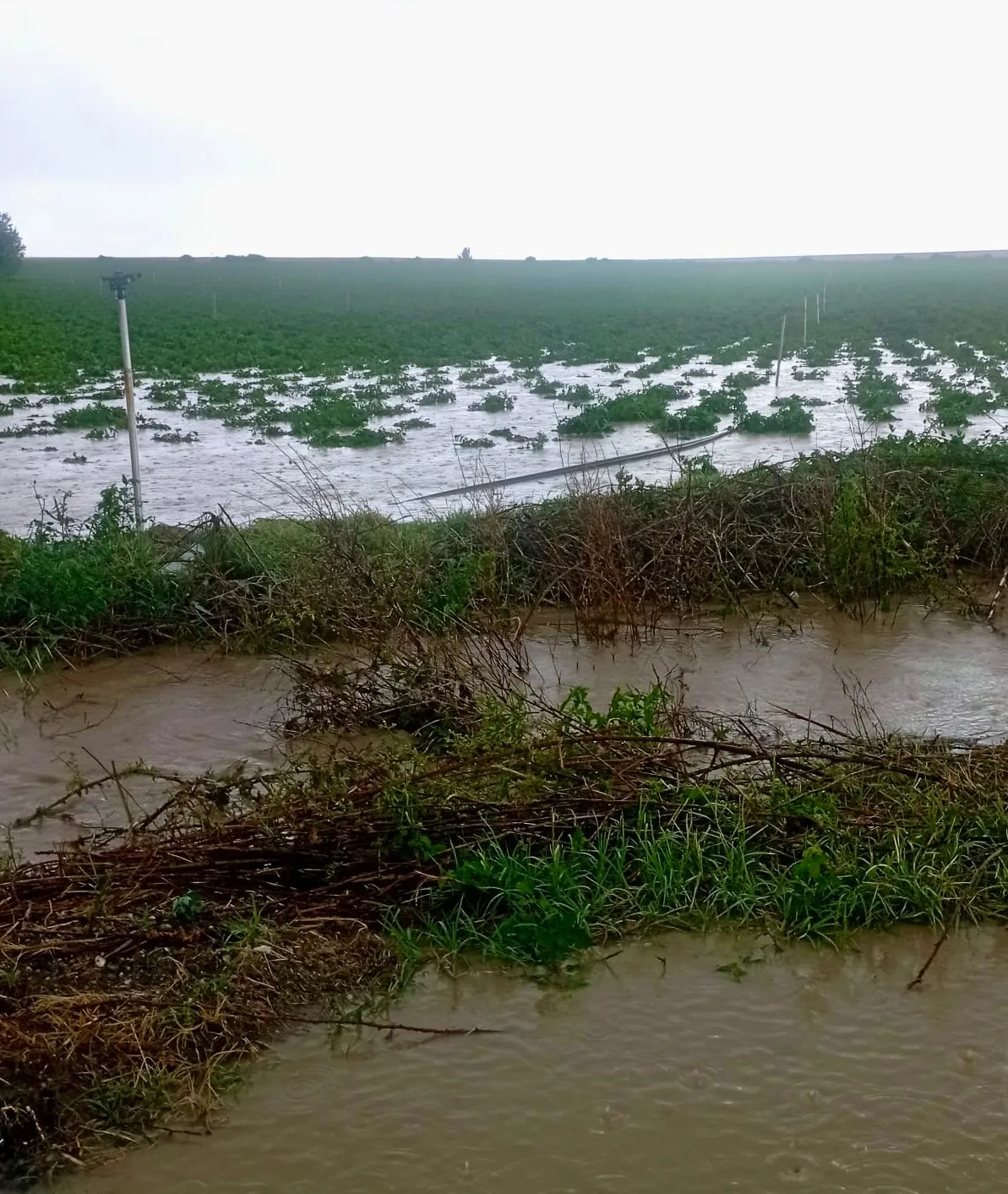 Foto 2 - COAG apoya a Tordillos y Pe&ntilde;arandilla en su declaraci&oacute;n &ldquo;zona catastr&oacute;fica&rdquo; tras las fuertes tormentas
