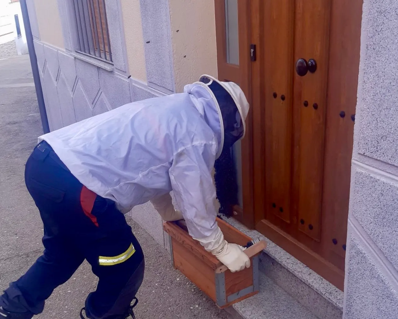 Efectivos del parque de Bomberos de Peñaranda retiran un enjambre de abejas formado en la puerta de una vivienda en Macotera 