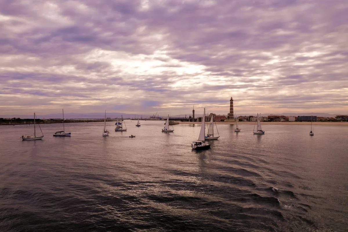 Veleros de la flota 'Camino Portugués de Santiago a Vela' en la Ría de Aveiro
